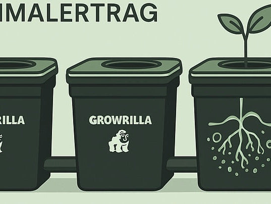 RDWC-Systeme von Growrilla & Alien – Die einfache und effektive Methode für maximalen Ertrag