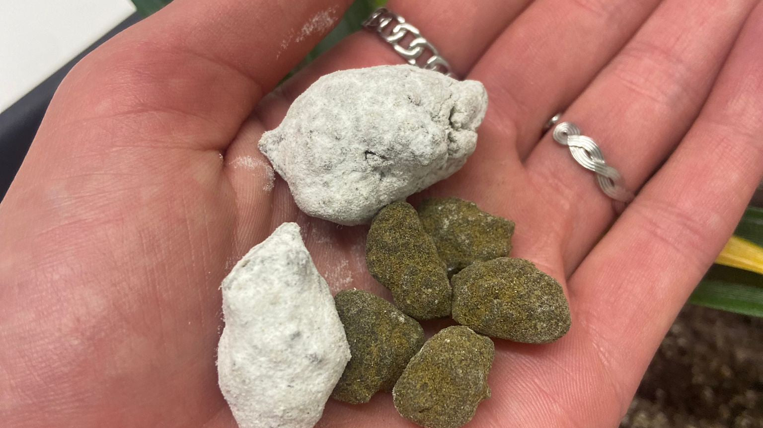 Moon Rocks und Ice Rocks - zwei ganz besondere CBD-Produkte