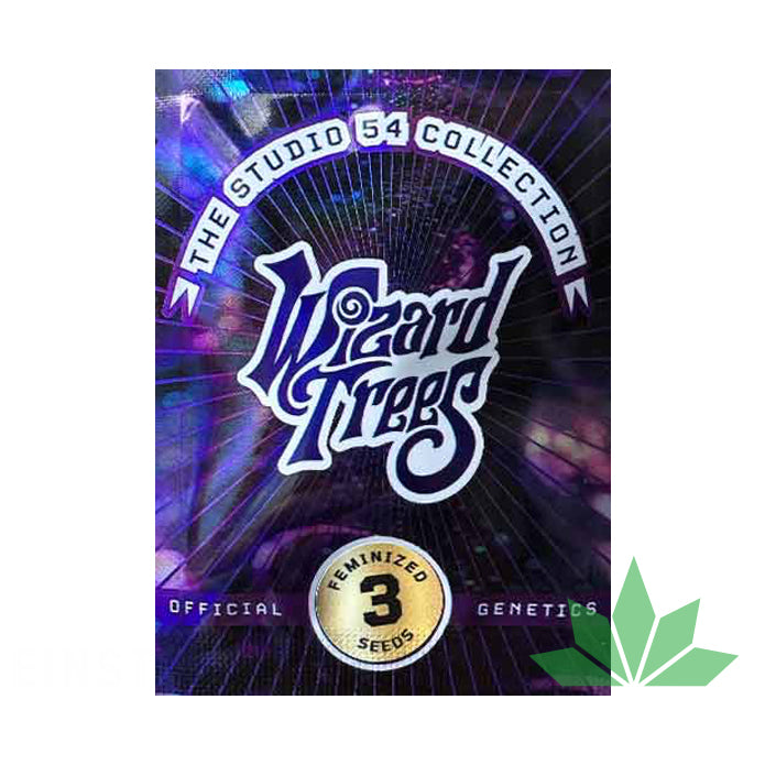 Wizard Trees - Studio Sesh Femi. 3.Stk