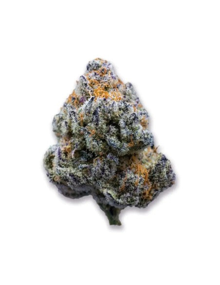 Platinum Mimosa Cookies Fast Version