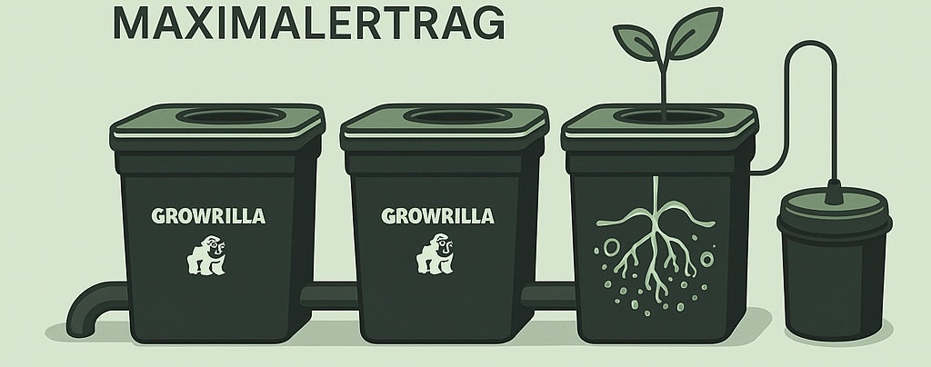 RDWC-Systeme von Growrilla & Alien – Die einfache und effektive Methode für maximalen Ertrag