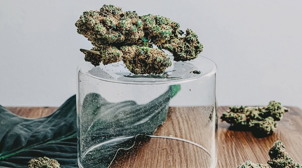 Bonorum Köln - Was ist CBD und wie wirkt es?