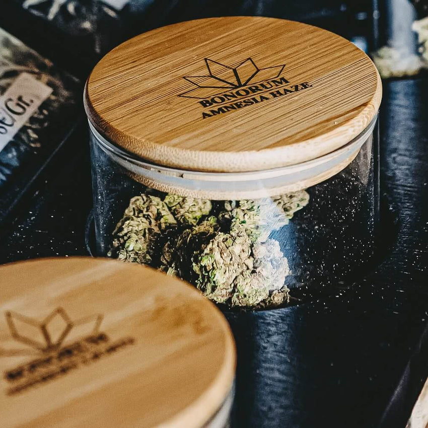 Blog-Beitrag_Bonorum_CBD_Koeln_Hanfsorten_im_Überblick_Cannabis_Sativa_und_Indica