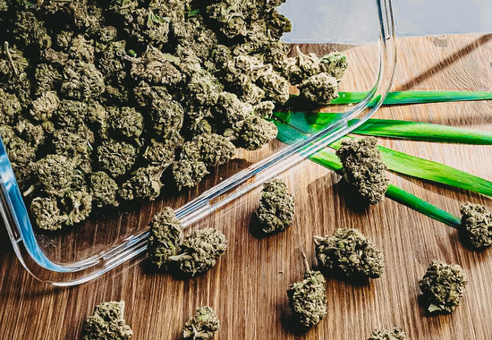 Bonorum CBD Blogpost | Woran erkennt man hochwertige CBD-Blüten?