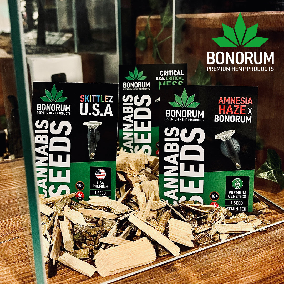 Bereit zum Wachsen: Unsere Cannabis-Samen warten darauf, von euch gepflanzt zu werden!