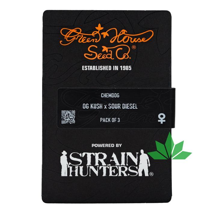 Green House Seed - CHEMDOG  - Feminisiert - 3 Seeds