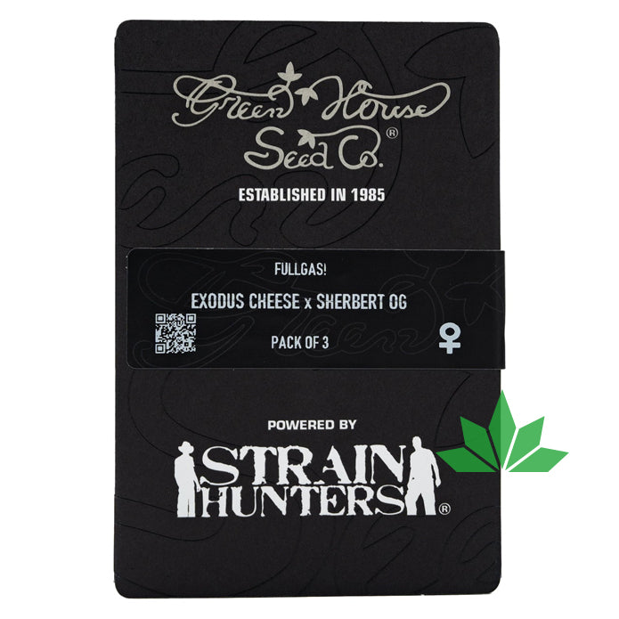 Green House Seed - FULLGAS!  - 3 Seeds