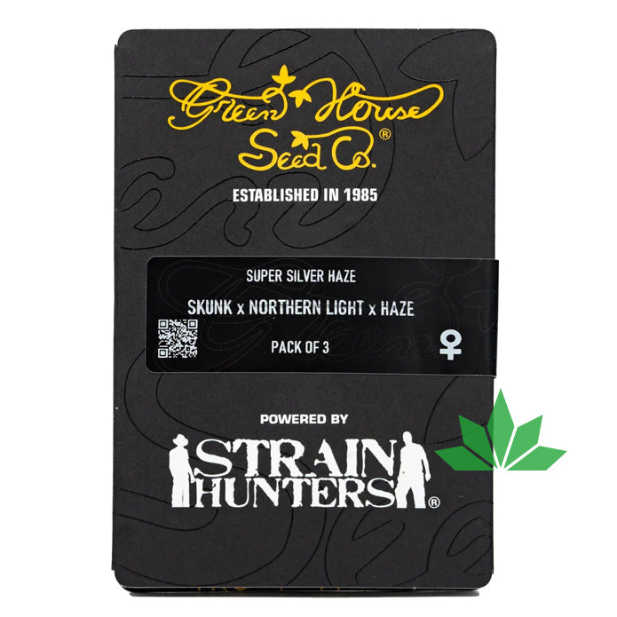 Green House Seed - SUPER SILVER HAZE - Feminisiert - 3 Seeds