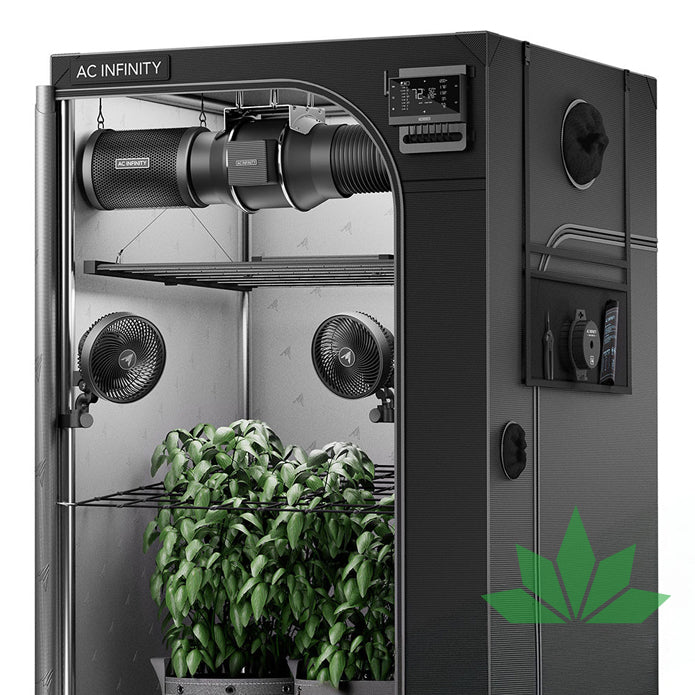 NEU* AI+ Grow Zelt-System PRO 120 x 120 x 200 cm, 4-Pflanzen-Set – Bonorum CBD