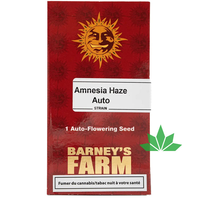 AMNESIA HAZE AUTO - Automatic - 3 Seeds