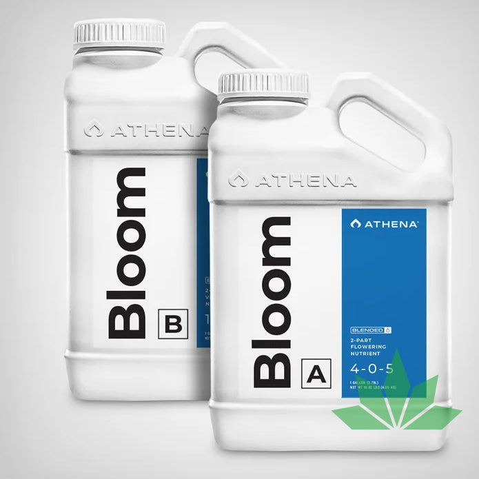 Athena Bloom A+B, je 946ml