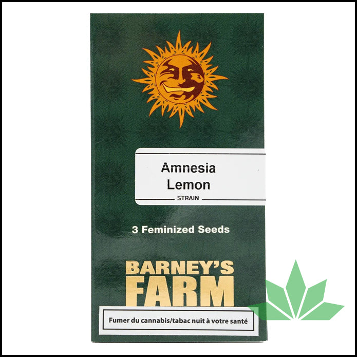 Barney's Farm - AMNESIA LEMON - Feminsiert - 3 Seeds