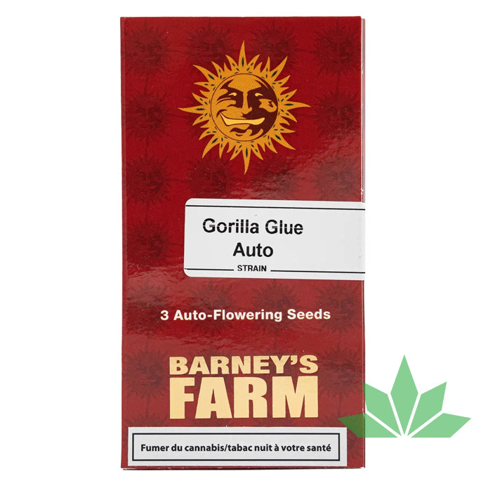 Barney's Farm - GORILLA GLUE - Automatic - 3 Seeds