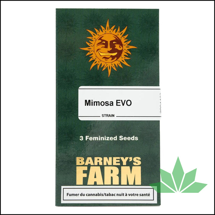 Barney's Farm - MIMOSA EVO - Feminisert - 3 Seeds