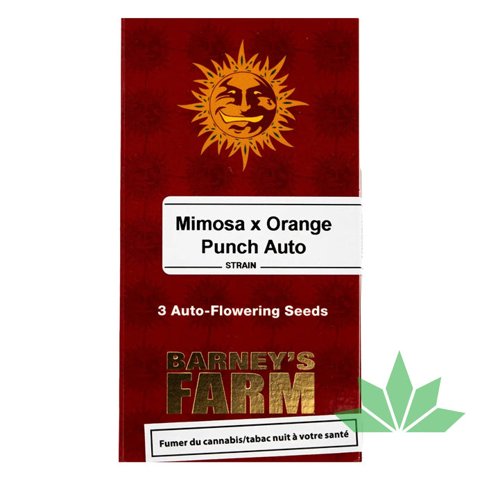 Barney's Farm - MIMOSA X ORANGE PUNCH - Automatic - 3 Seeds