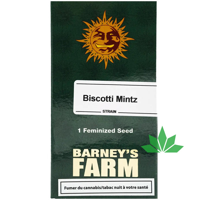 Barney's Farm - BISCOTTI MINTZ - Feminsiert - 3 Seeds