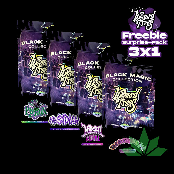 Black Magic Drop Bundle - Wizard Trees