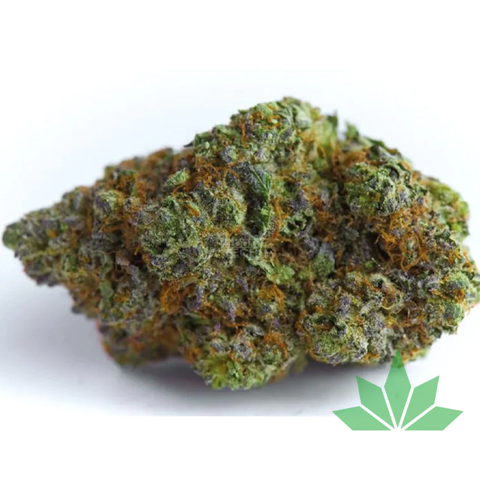 Growers Choice  - Blue Forest Berry - Auto 3St.
