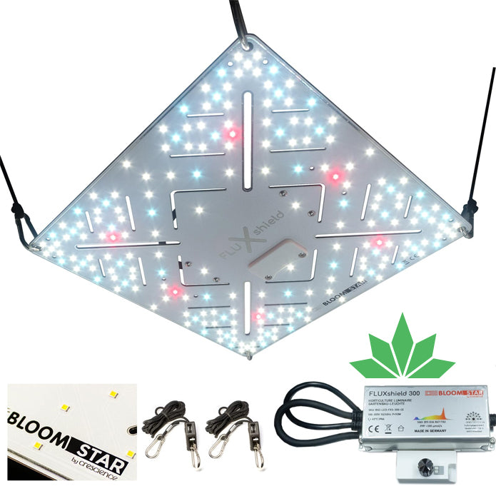 BloomStar FLUXshield 300 - 100W
