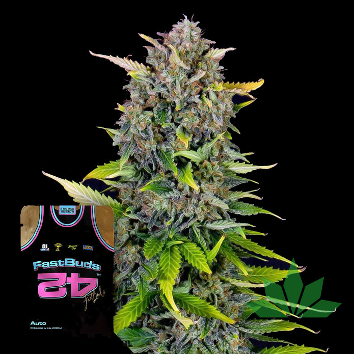 Blue Dream Auto - Automatic Fem 3St.