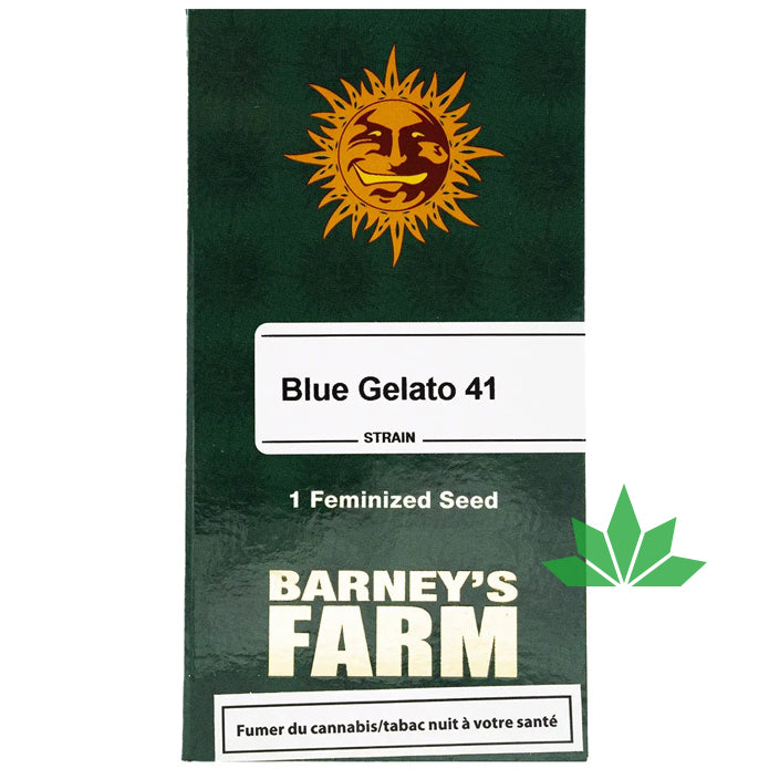 Barney's Farm -   BLUE GELATO 41 - Feminsiert - 3 Seeds