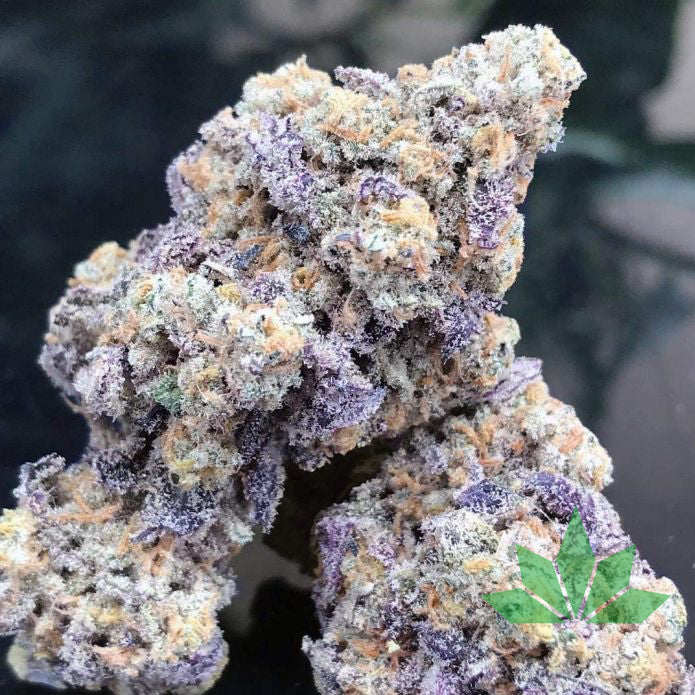 Growers Choice - Blue Zushi Limited Edition Fem 3.Stk
