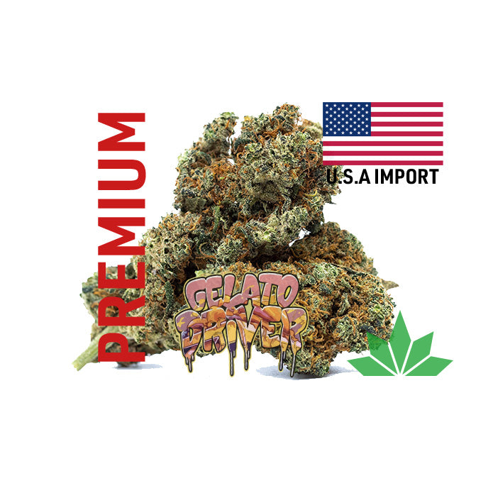 GELATO DRIVER U.S.A