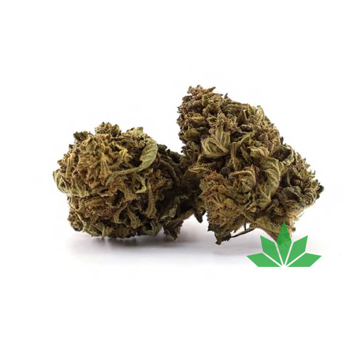 Light White Widow