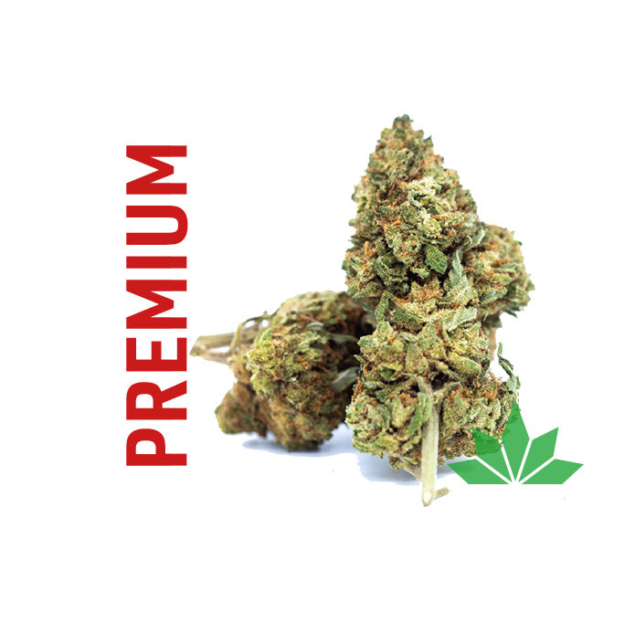 Orange BUD