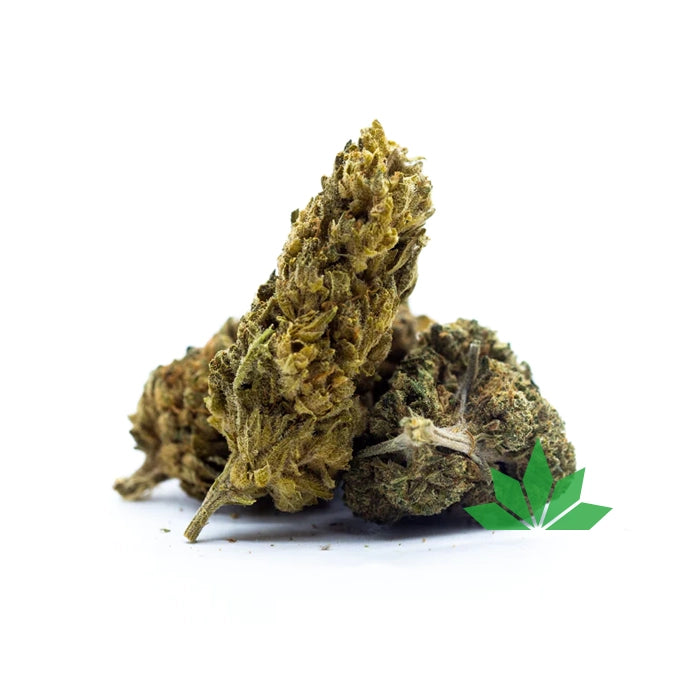 White Widow