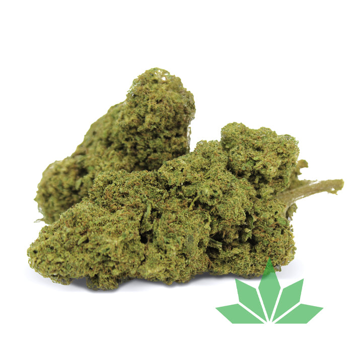 White Widow CBD Blüte