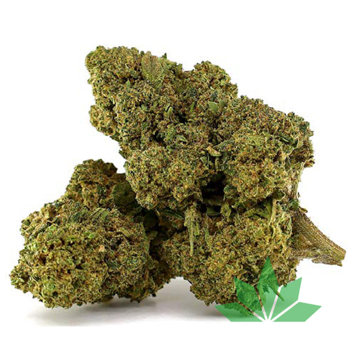 Purple Velvet CBD Blüte