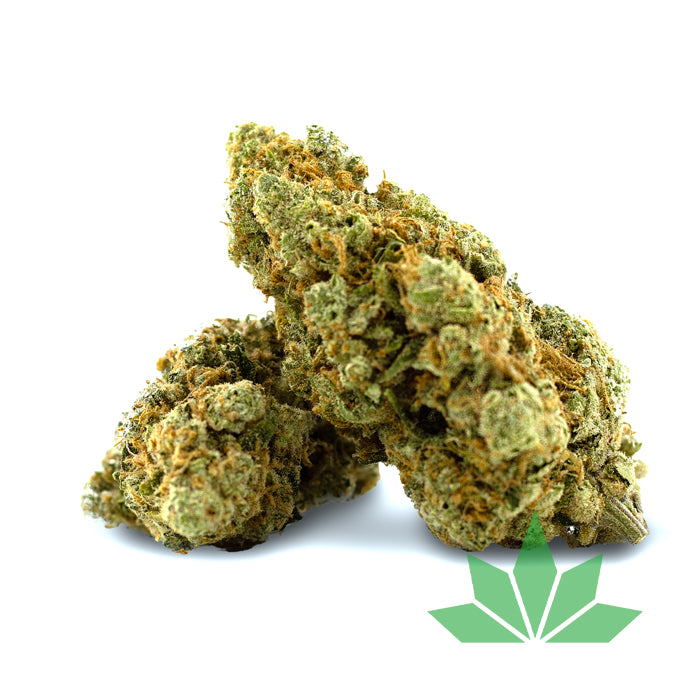 Sunset Sherbet CBD Blüte
