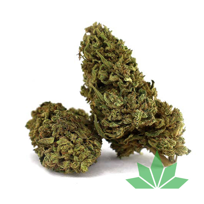 Mango Tango CBD Blüte