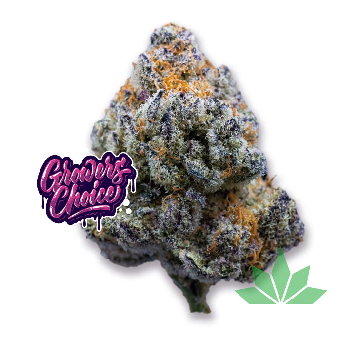 Growers Choice - Platinum Mimosa Cookies Fast Version Fem 3.stk – Ansicht 2