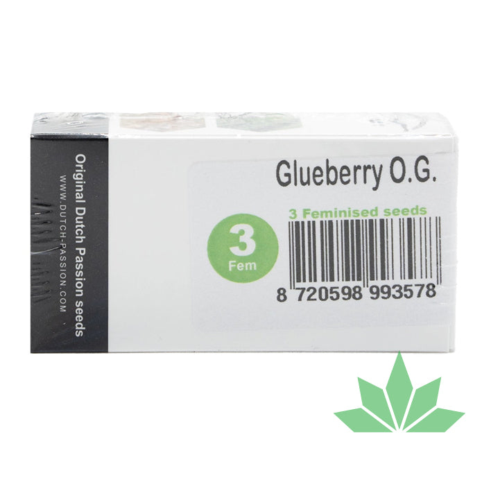 Dutch Passion - Glueberry OG - Feminisiert - 3 Seeds
