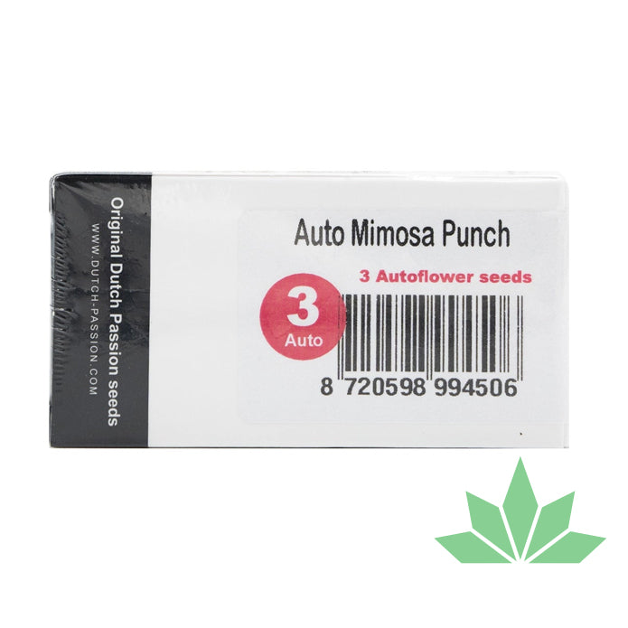 Dutch Passion - Mimosa Punch - Automatik - 3 Seeds
