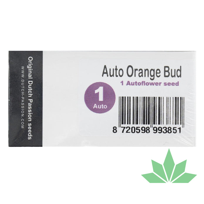 Dutch Passion - Orange Bud - Automatik - 3 seeds