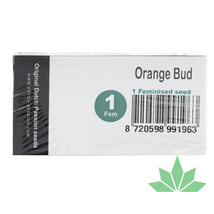 Dutch Passion - Orange Bud - Feminisiert - 3 Seeds