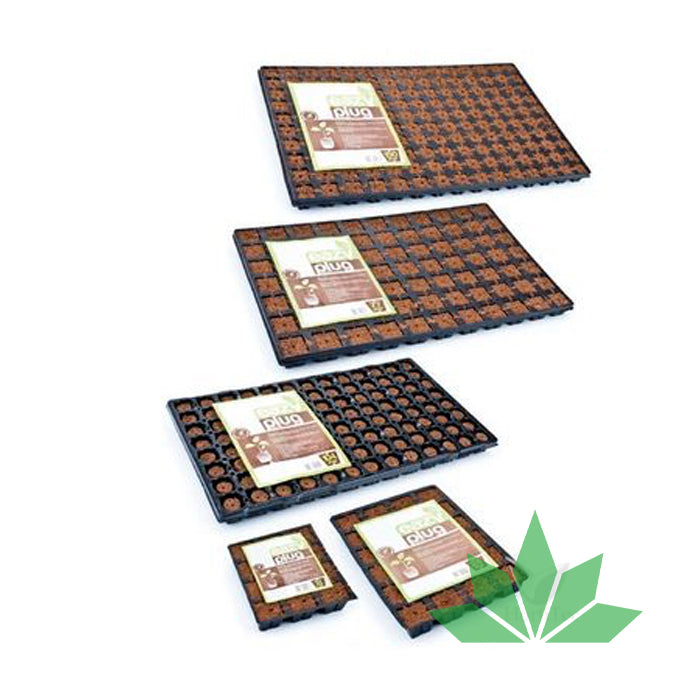 EASY PLUG TRAY (3.5 X 3.5 X 3 CM)