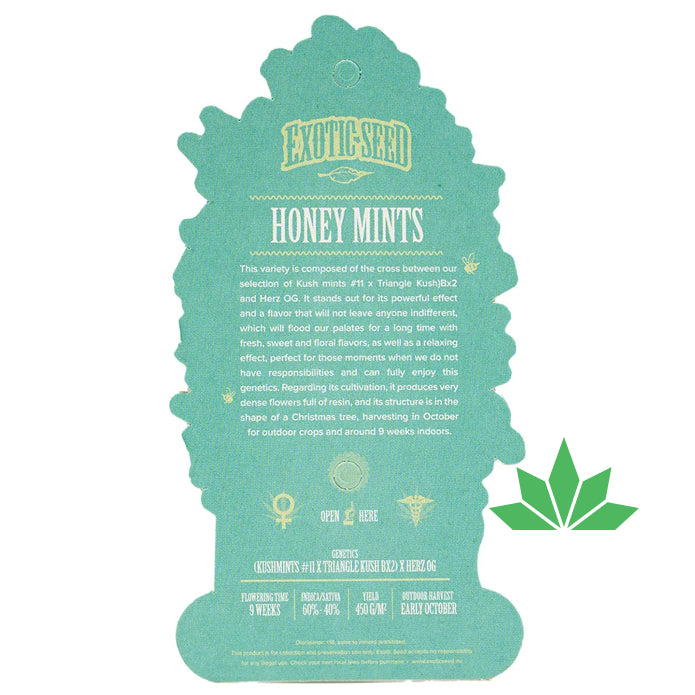 Exotic Seed - HONEY MINTS - Feminisiert / 3 Seeds