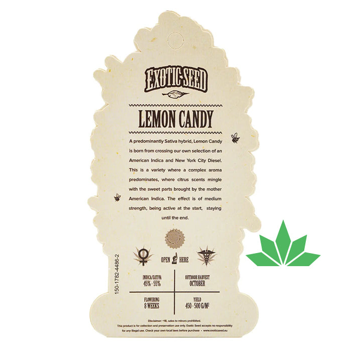 Exotic Seed - LEMON CANDY- Feminisiert / 3 Seeds