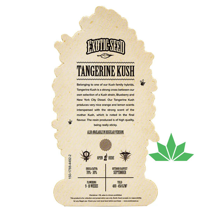 Exotic Seed -  TANGERINE KUSH - Feminisiert / 3 Seeds