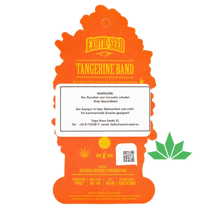 Exotic Seed - TANGERINE BAND - Feminisiert / 3 Seeds
