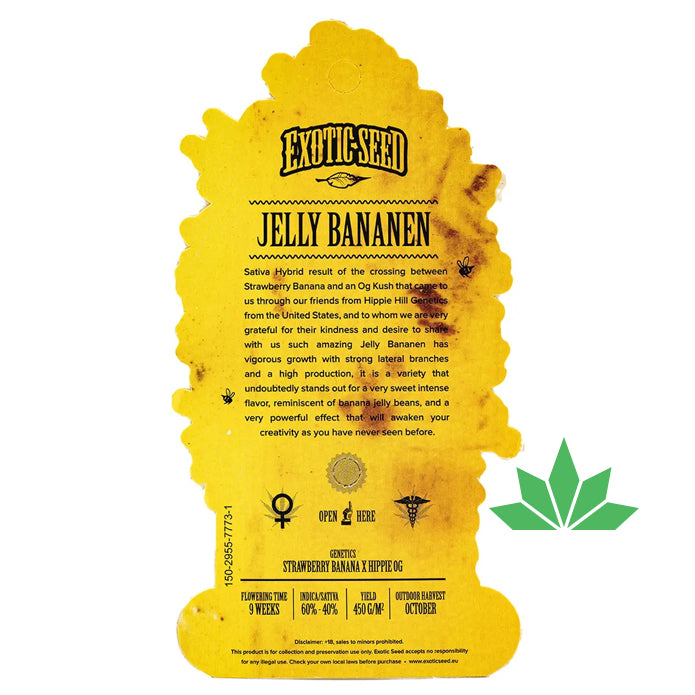 Exotic Seed - JELLY BANANEN  - Feminisiert / 3 Seeds