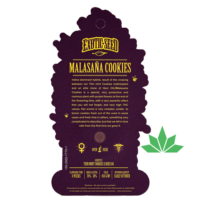 Exotic Seed - MALASANA COOKIES  - Feminisiert / 3 Seeds