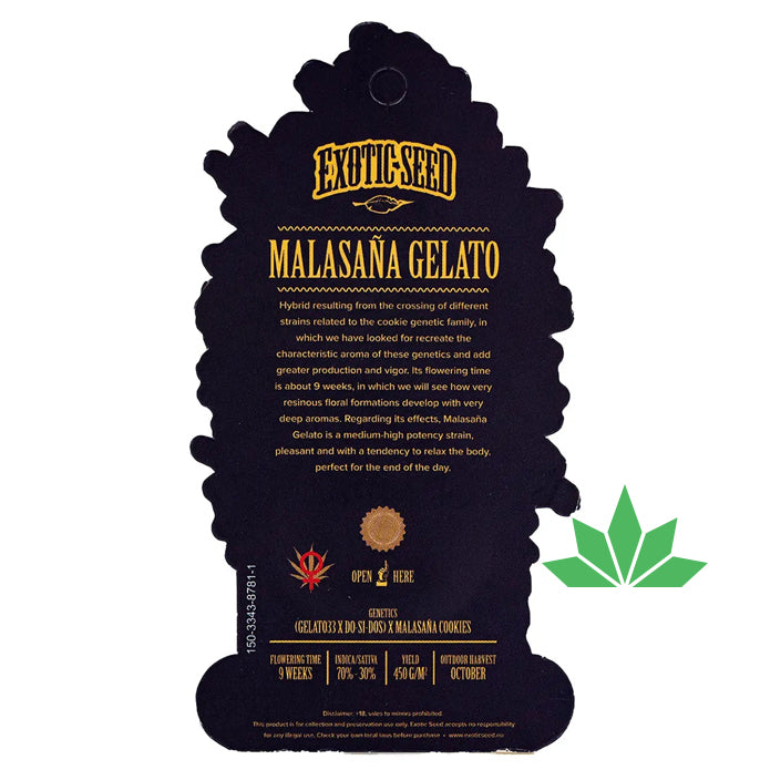 Exotic Seed - MALASANA GELATO  - Feminisiert / 3 Seeds