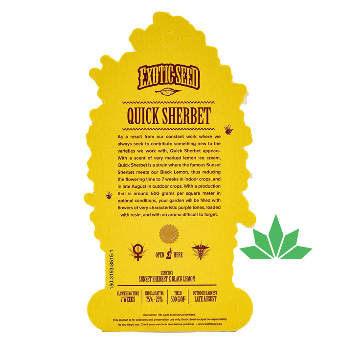 Exotic Seed -  QUICK SHERBET - Feminisiert / 3 Seeds