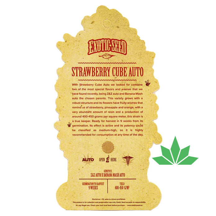 Exotic Seed -  STRAWBERRY CUBE - Automatic / 3 Seeds