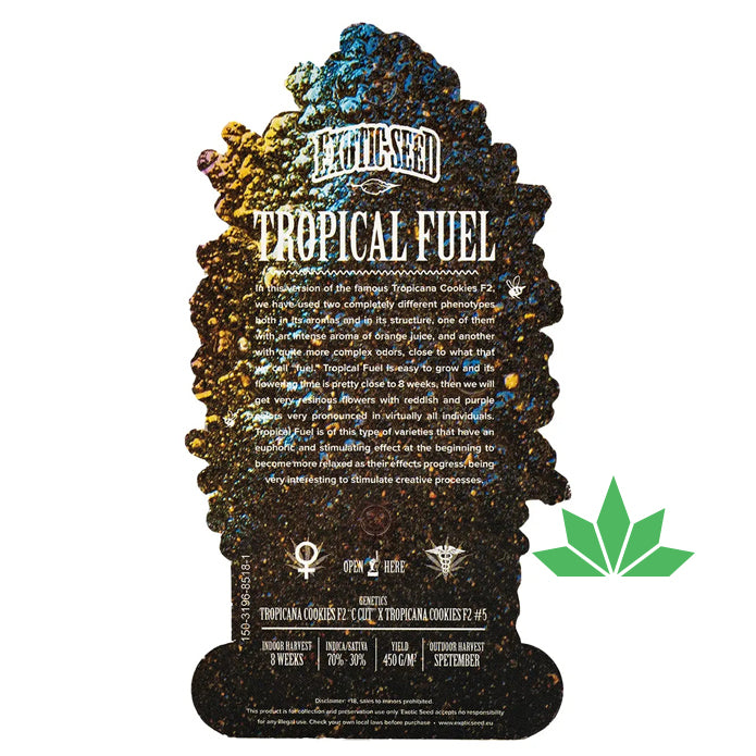 Exotic Seed -  TROPICAL FUEL - Feminisiert / 3 Seeds